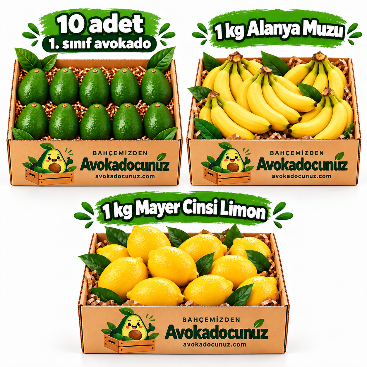 Avantajlı Paket 1